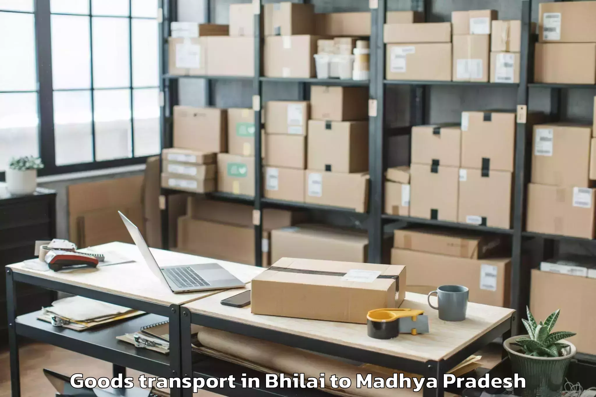 Book Bhilai to Sanwer Goods Transport Online